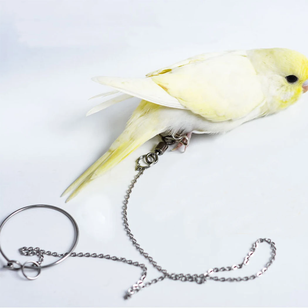 Bird Parrot Foot Chain Stainless Steel Ankle Foot Ring Stand Chain Outdoor Flying Training Bird Accessories Bird Supplies