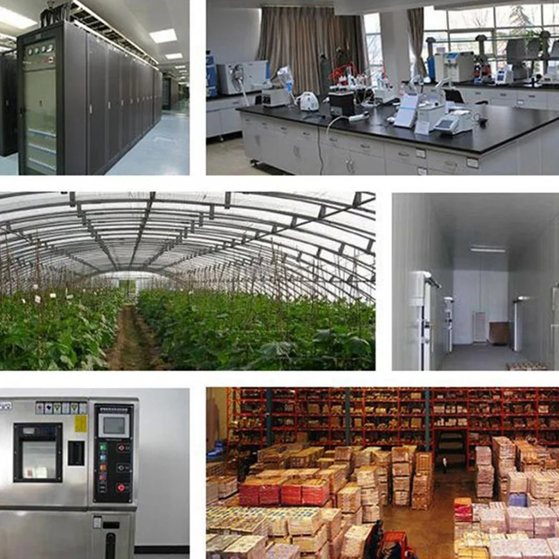 RISE-GL09 8ช่องแบตเตอรี่ App ควบคุมระบบเตือนภัย GSM SMS Alert ระบบรักษาความปลอดภัย2019