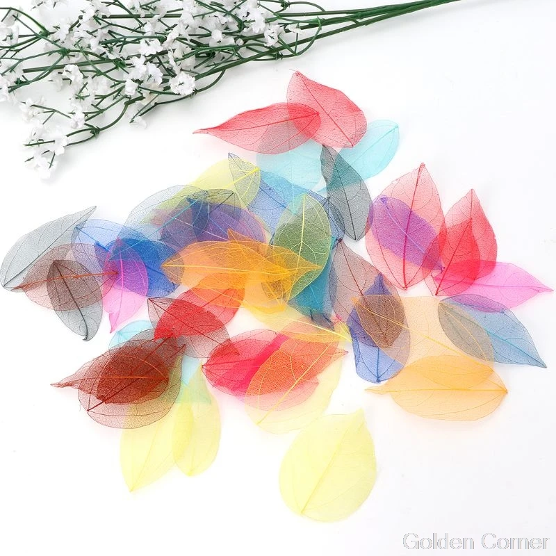 50 Pcs Mixed Color Natural Skeleton Leaves Pressed Flower for Jewelry Making Jy08 20 Dropship