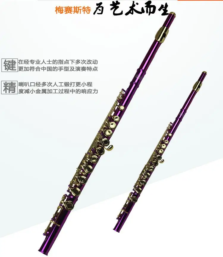 Hot Metal Purple Flute Playing Flute C Key FL-510R Flauta Detachable OVES Gold Plated Chinese Folk Instrument Brand Flute