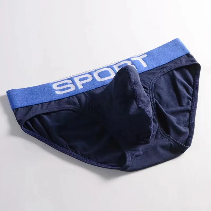 2 pcs Men Boxer Shorts Men\'s Panties Male Underpants Soft Cotton Sexy 3D U Pouch Underwear shorts Larger Size Convex