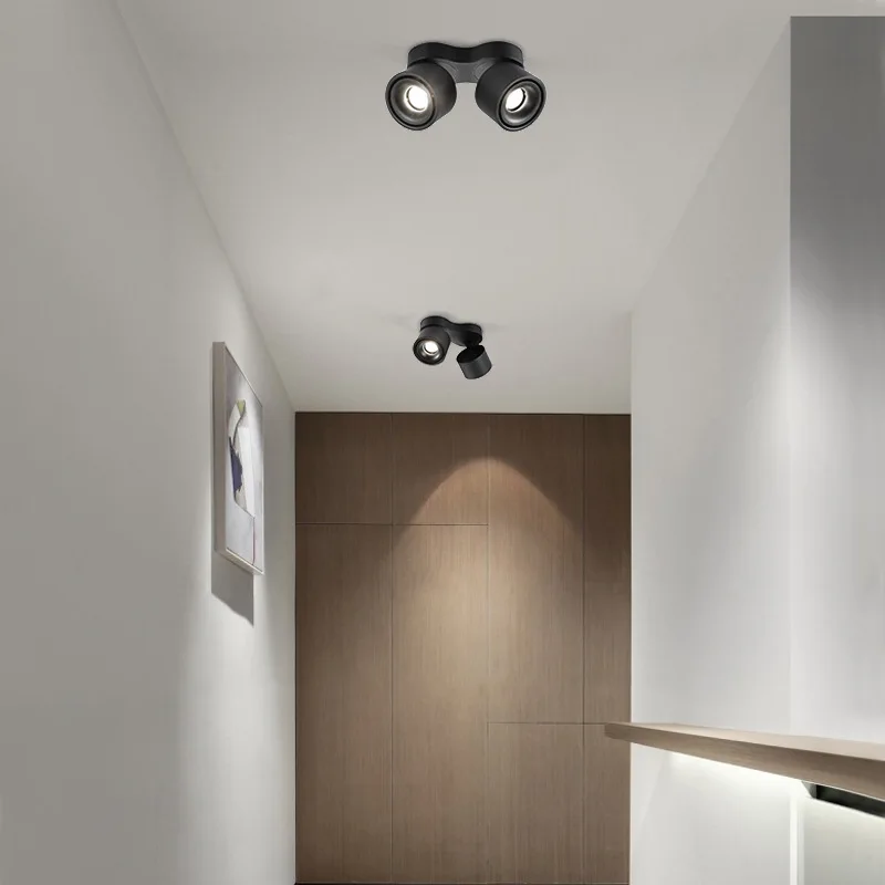 Surface Mounted Dimmable Rotating LED Ceiling Light, COB LED Spotlight, 20W / 24W, with AC110V / 220V LED Driver