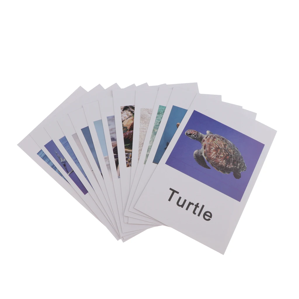 Montessori Ocean Animal Match Cards and Figurines, Matching Game Learning Toy, Language Materials