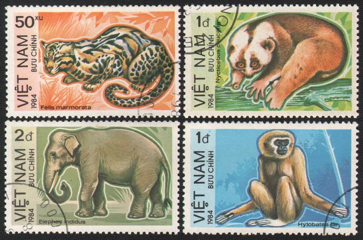 4Pcs/Set Vietnam Post Stamps 1984 Bear Leopard Monkey Elephant Wildlife  Marked Postage Stamps for Collecting