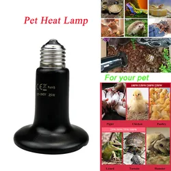 Lámpara de calefacción para mascotas, Bombilla de cerámica de 220V, infrarrojo lejano, para pollos y reptiles, 25W, 50W, 75W, 100W