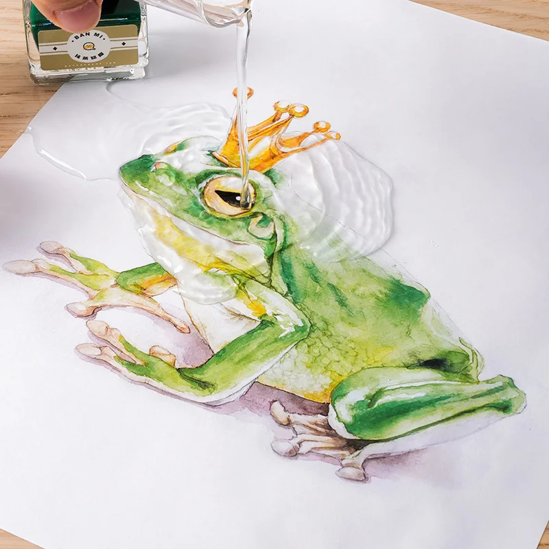 12 Macarone Colors Waterproof  Ink Student Painting Dye Card Color Ink , Fountain Dip Pen Ink 15ml/bottle