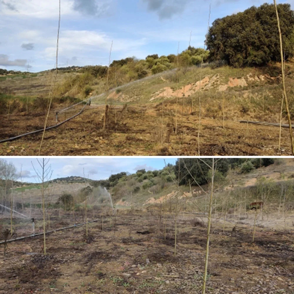 Irrigatore da giardino irrigatore a lunga distanza con filettatura femmina da 1.5 pollici con ugelli da 4 pezzi pistola per irrigazione a grande