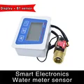 Display plus sensor
