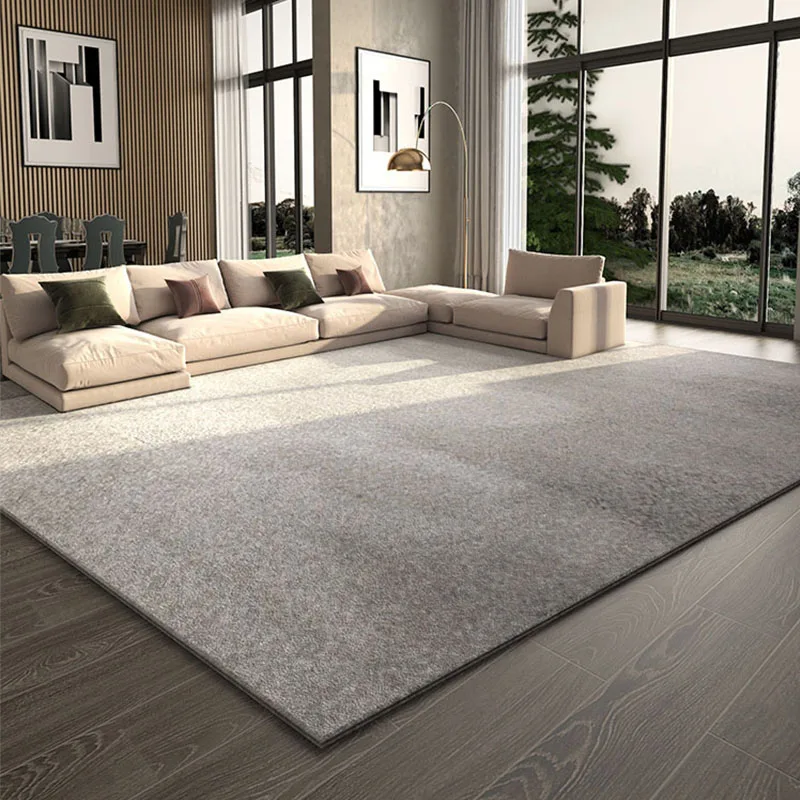 Nordic Grey Color Rugs and Carpet for Living Room Bedroom Luxury Shaggy Soft Carpet Kids Room Dining Room Coffee Table Area Rug