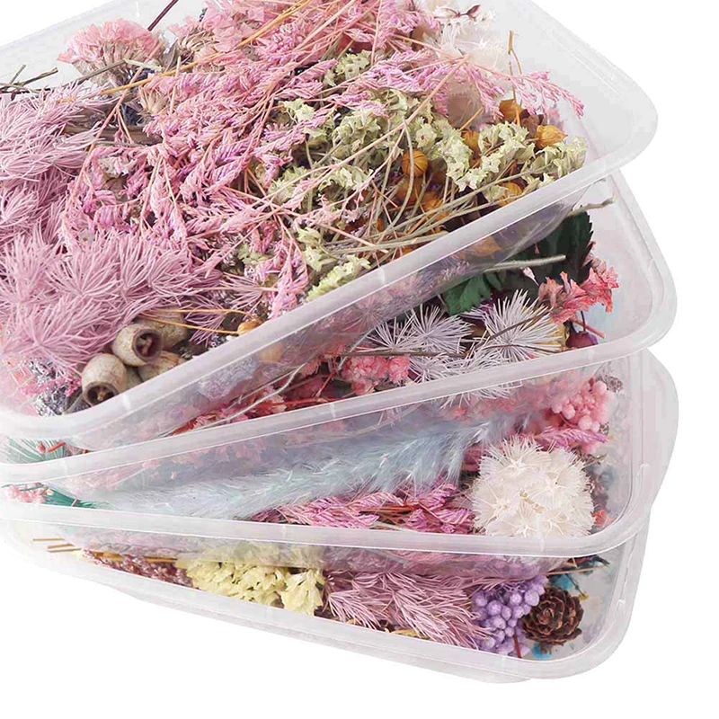 1 Box Random Mix Style Dried Flowers Decoration Natural Floral Sticker Dry Beauty Nail Art Decals Epoxy Mold DIY Filling Jewelry image 3