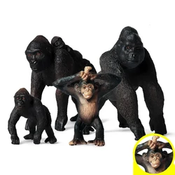 4Pcs/set Wild Animals Realistic Gorilla Chimpanzee Solid Model Ornaments Action Figure Figurine Education Toys for Children