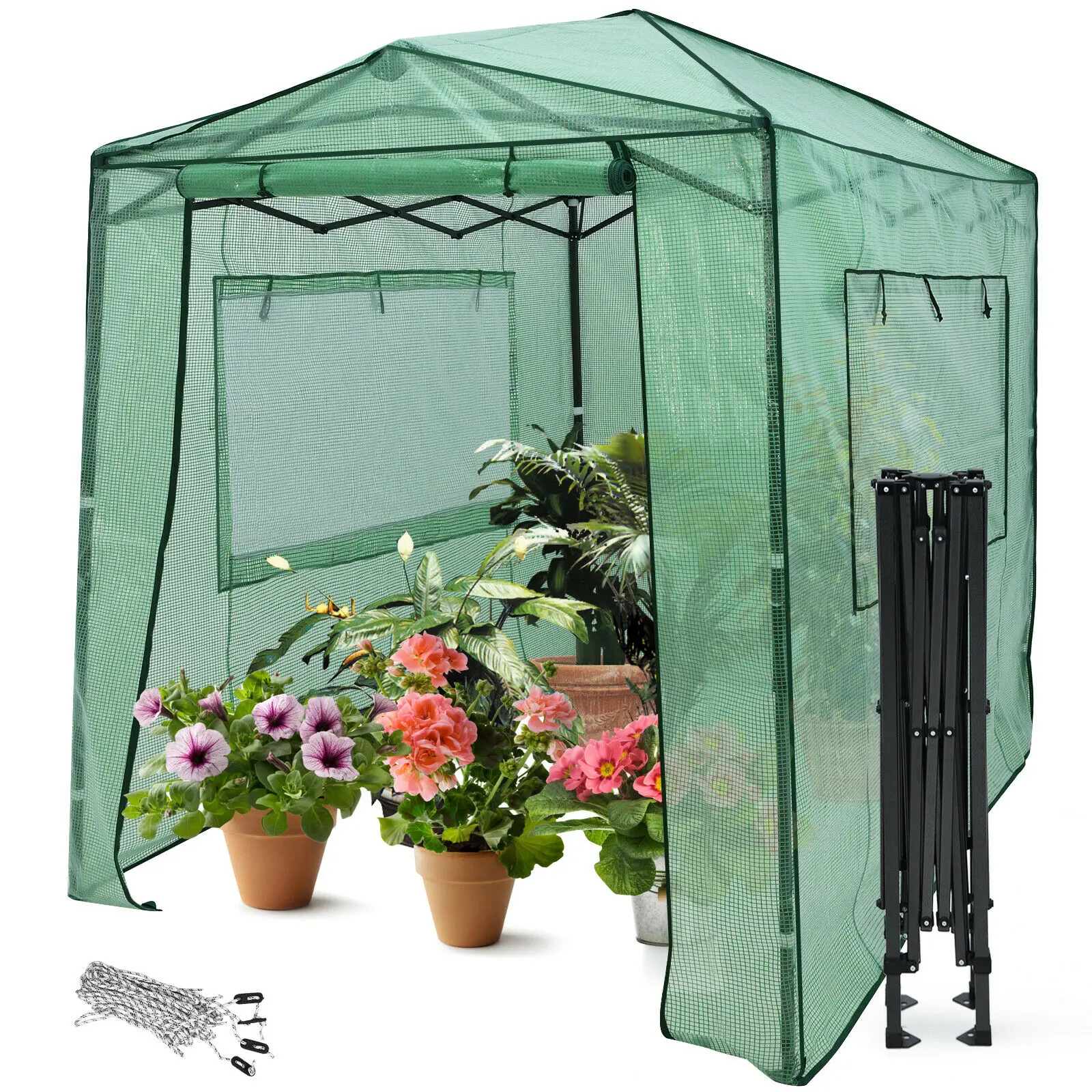 6'x 8' Portable Walk-in Greenhouse Pop-Up Folding Plant Gardening W/Window