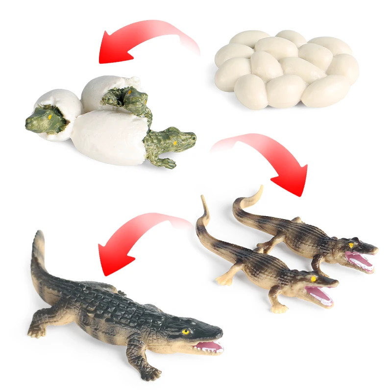 Oenux Wild Animals Action Figures Simulation Sarcosuchus Crocodiles Boar Croc Model PVC Collection Decorate Kids Educational Toy