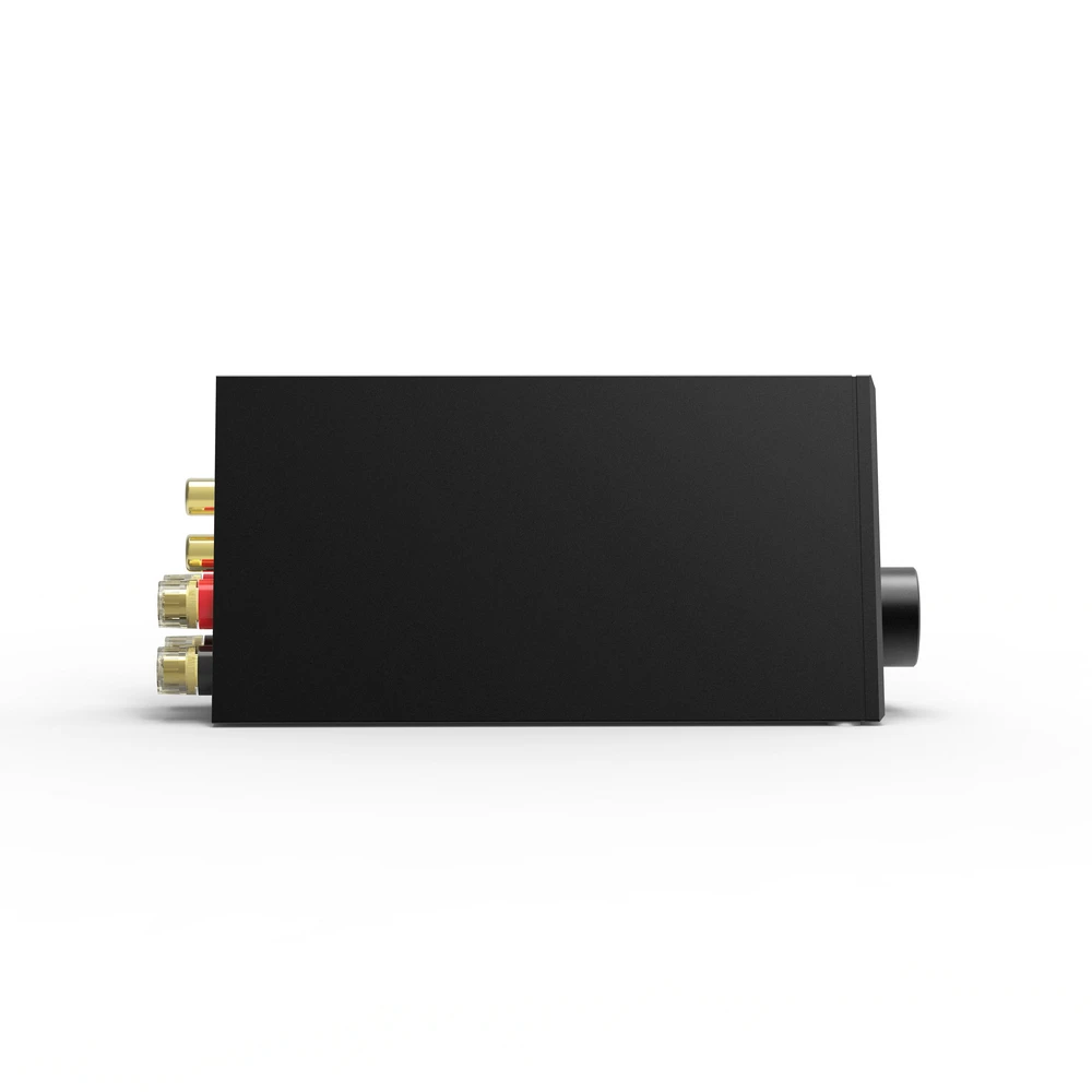 LOXJIE A10 Desktop Stereo Amplificatore di Potenza Digitale di Classe-D Ad alta Potenza Audiophile Livello Amp Chip di TPA3116