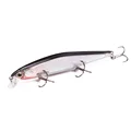 Silver Black backed