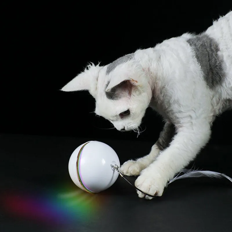 Elétrico LED Rolling Flash Ball Toy para gatos e cães, USB recarregável, colorido, pena, Pet Toys, filhote de cachorro