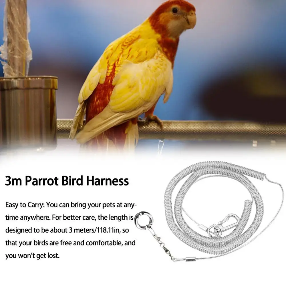 3m Flexible Bird Leash with Leg Ring Ultra-light Parrot Bird Harness Anti-bite Outdoor Flying Training Rope for Parrot