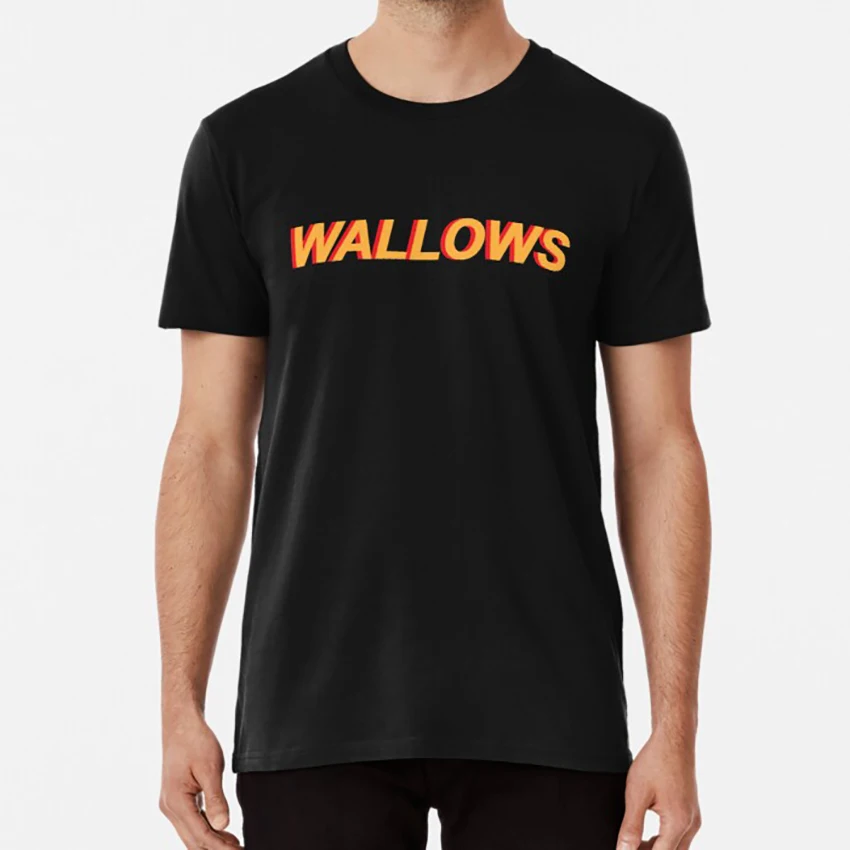 Wallows / / Name Vibez T Shirt Wallows Wallows Merchandise Wallows Merch Dylan Minnette