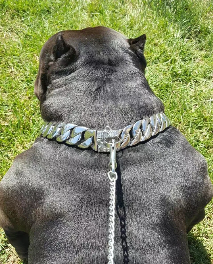 Metal Stainless Steel Dog Collar Pet Steel Chain Bully Dogs Large Dog Collar Doberman Adjustable High-end Bulldog Pitdog Collar