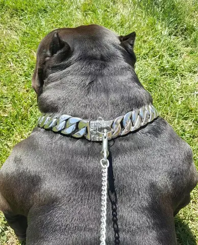 Collier en métal en acier inoxydable pour chien, chaîne en acier pour animal de compagnie, grand gabarit, Doberman, réglable, haut de gamme, bouledogue, Pitdog