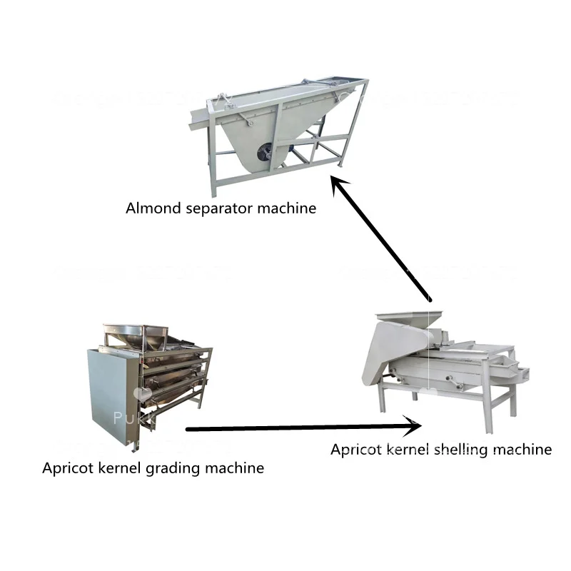 Apricot Seed Hulling Machine Apricot Kernel Cracking Filbert Cracker Black Walnut Almond Shelling Machine