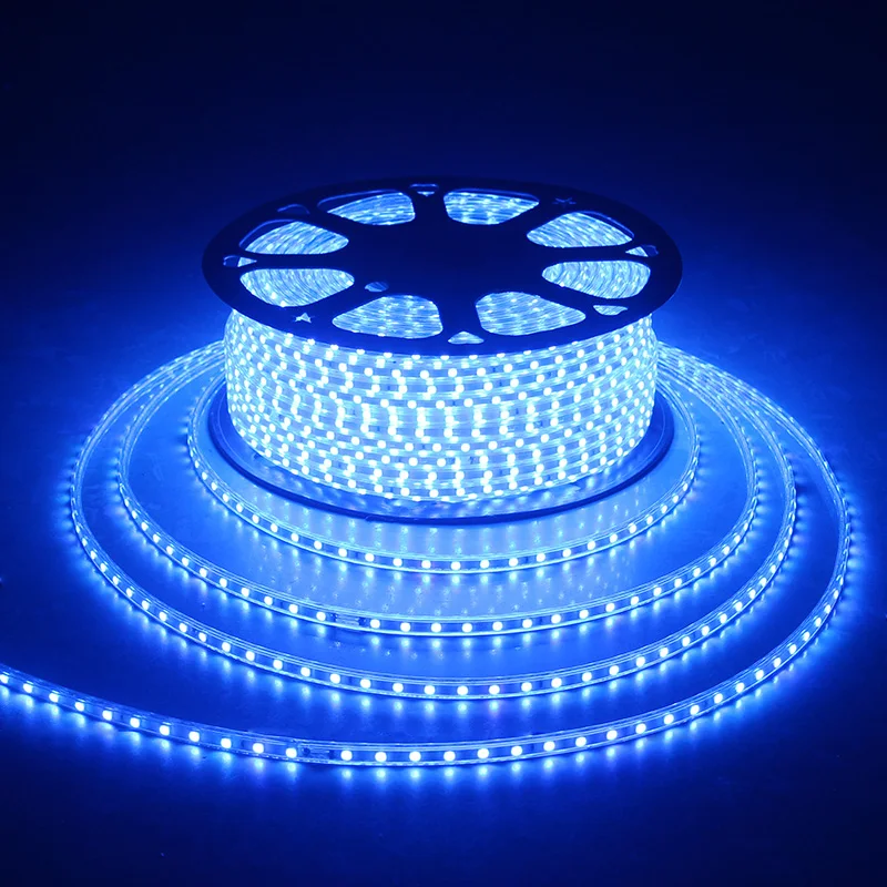 Warm White LED Strip Light Waterproof AC 220 Strip LED Ribbon RGB 5050 LED Tape Flexible Lighting With EU Plug 5m 15m And Screws