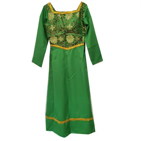 2025 Shrek Princess Fiona Cosplay Dress Cosplay Costume