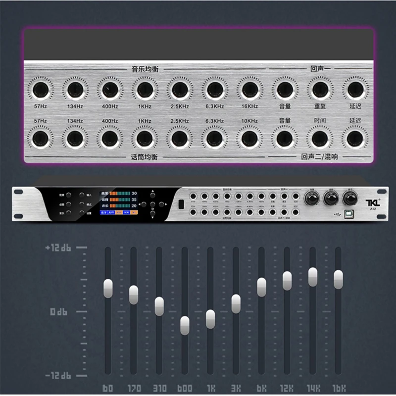 Reverberator Professional Karaoke Effector DSP Processor Equalizer Sound Amplifier Feedback Suppressor Fiber Input Preamplifier