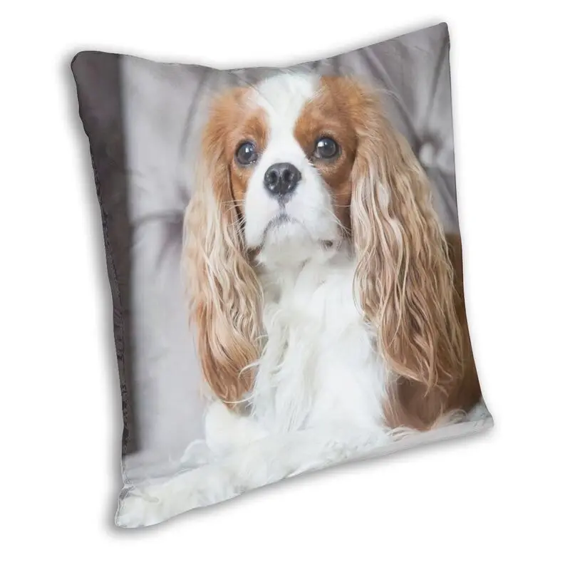 Custom Cavalier King Charles Spaniel Square Pillow Case Home Decor 3D Two Side Printing Dog Cushion Cover for Living Room