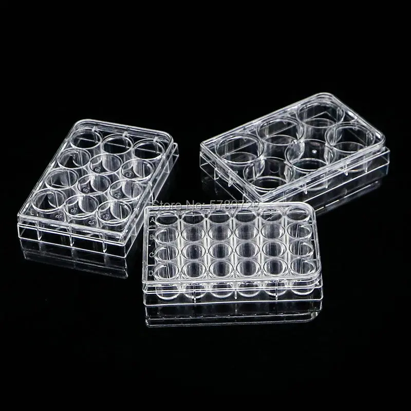 Imagem -02 - Descartável Cell Culture Plate Enzyme Label Esterilização Packaging Bacterial Culture Plate 12 24 48 96 384 Hole Pcs