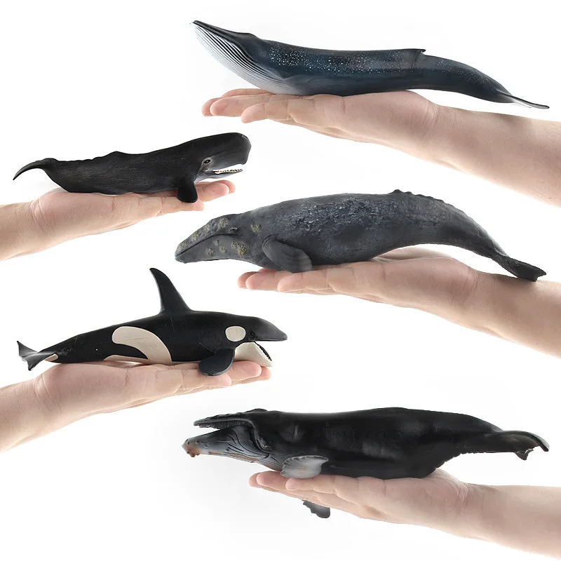 Figurines d'animaux de mer simulés, 20-28CM, baleine bleue, requin, beluga, jeu d'action, modèle cadeau pour enfants