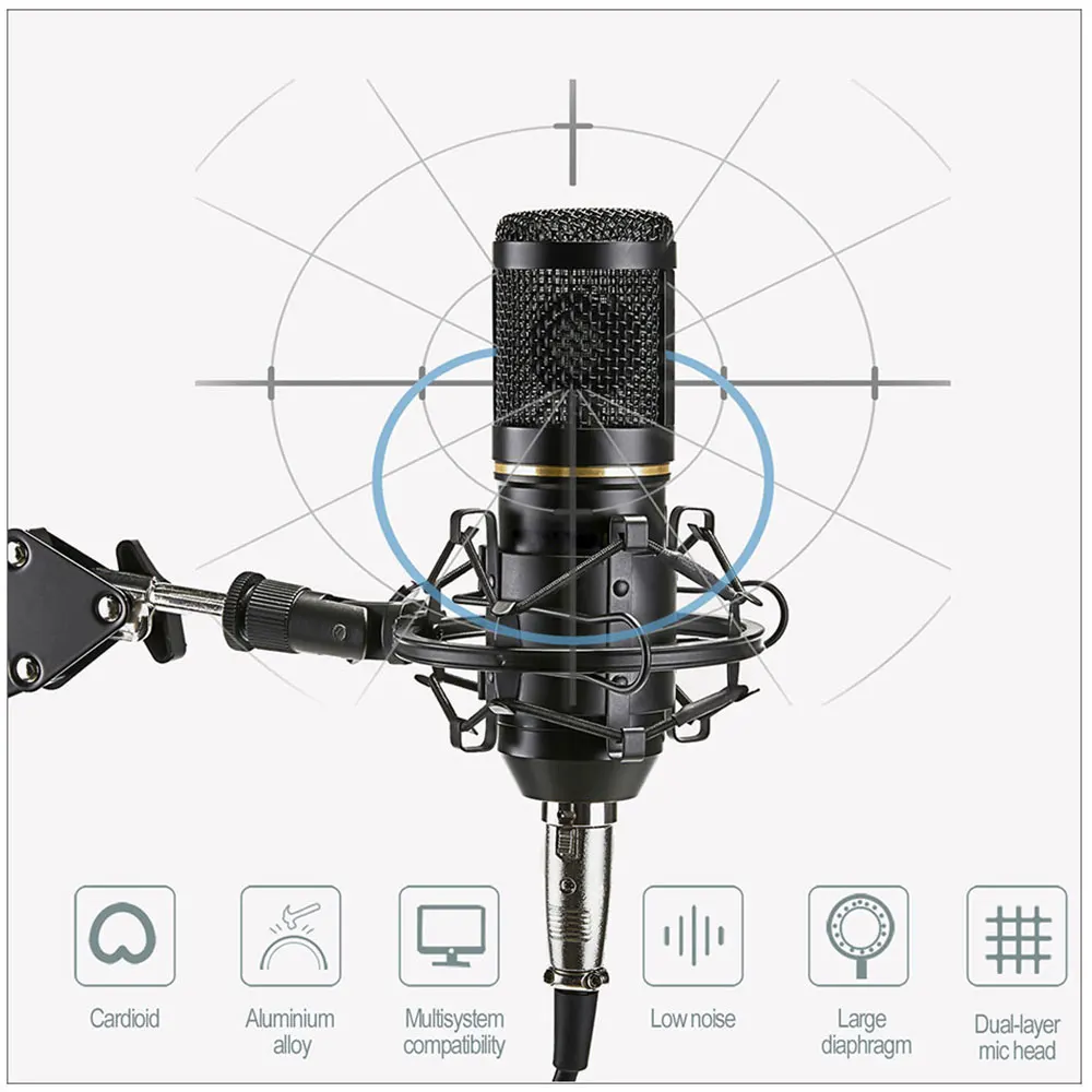 Studio Vocal microphone Cardioid condenser mic Computer recording Live broadcast Streaming and Voiceover Dual-diaphragm capsule