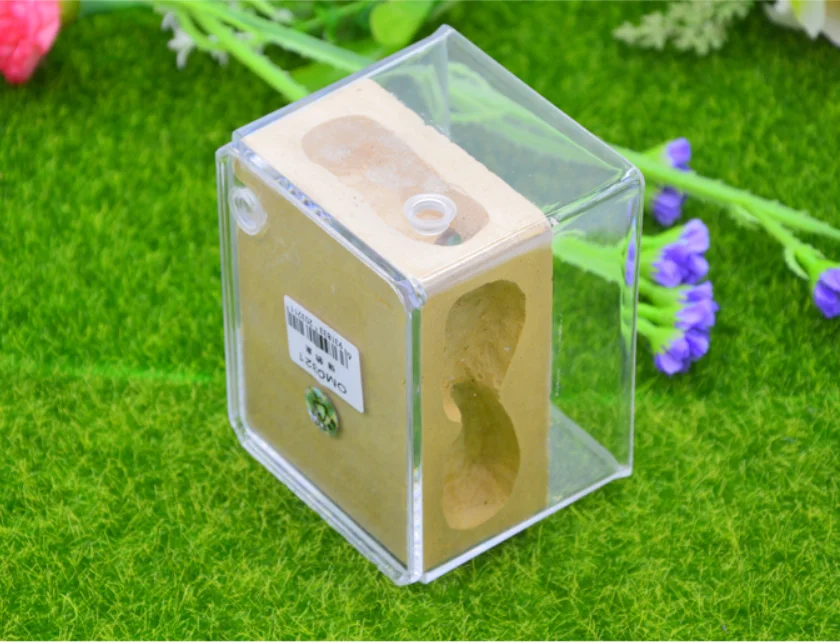 New Ecological Plaster Ant Farm square Nest Landscaping Ant House Ant Nest Workshop Pet Anthill Insect Box  10.3*7.6*7.5cm