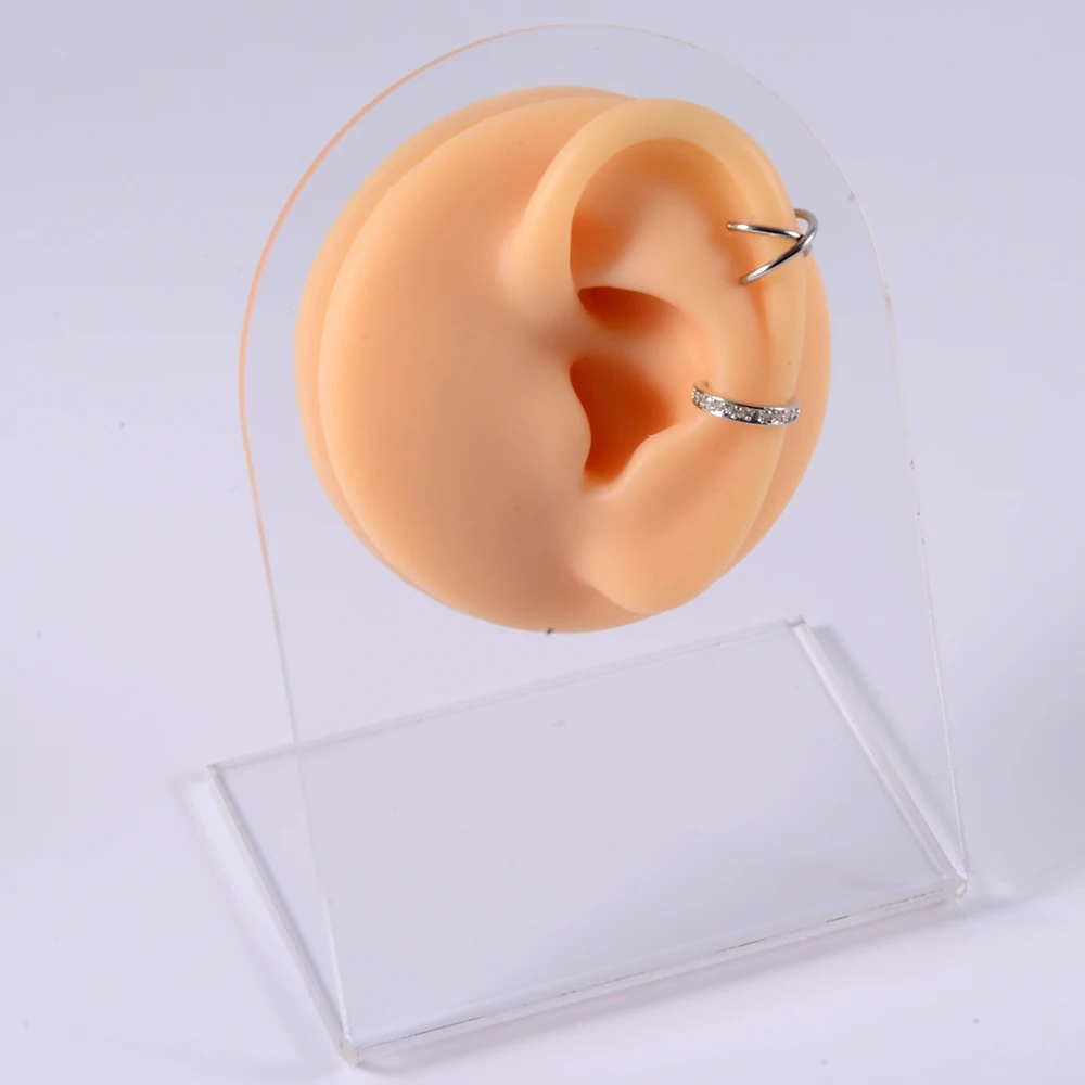 Silicone Ear Model Use for Tattoo Puncture Practice Display Jewelry Tool Body Piercing Simulation Model Sold With Acrylic Stand