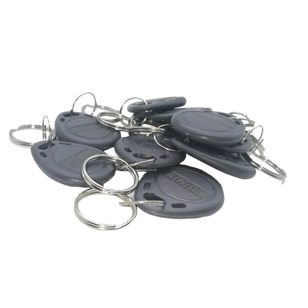 10 adet okuma sadece Read yakınlık 125Khz RFID Keyfobs kart erişim kontrolü anahtarlık kart