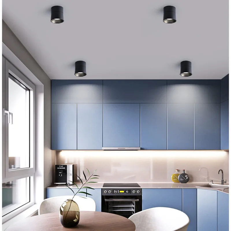 Surface mount dimmable rotating LED ceiling light, COB LED spotlight, 7W10W15W20W, with AC110V / 220V LED driver