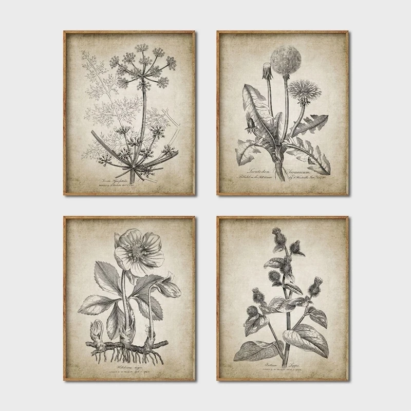 Antique Botanical Vintage Posters and Prints Wall Pictures Plants Retro Wall Art Canvas Painting Home Room Wall Decoration
