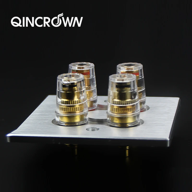 HiFI Mạ Vàng Khuếch Đại Loa Đầu Cuối Bảng Điều Khiển Bao Gồm Cả Liên Kết Bài Và Ổ Cắm