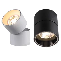 Surface mount dimmable rotating LED ceiling light, COB LED spotlight, 7W10W15W20W, with AC110V / 220V LED driver