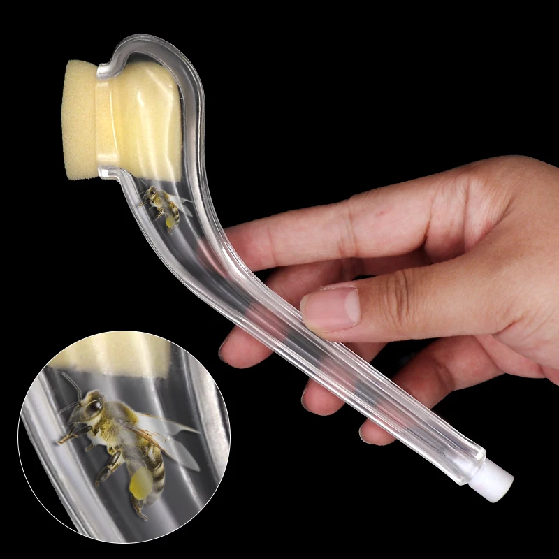 2Pcs Queen Bee King…