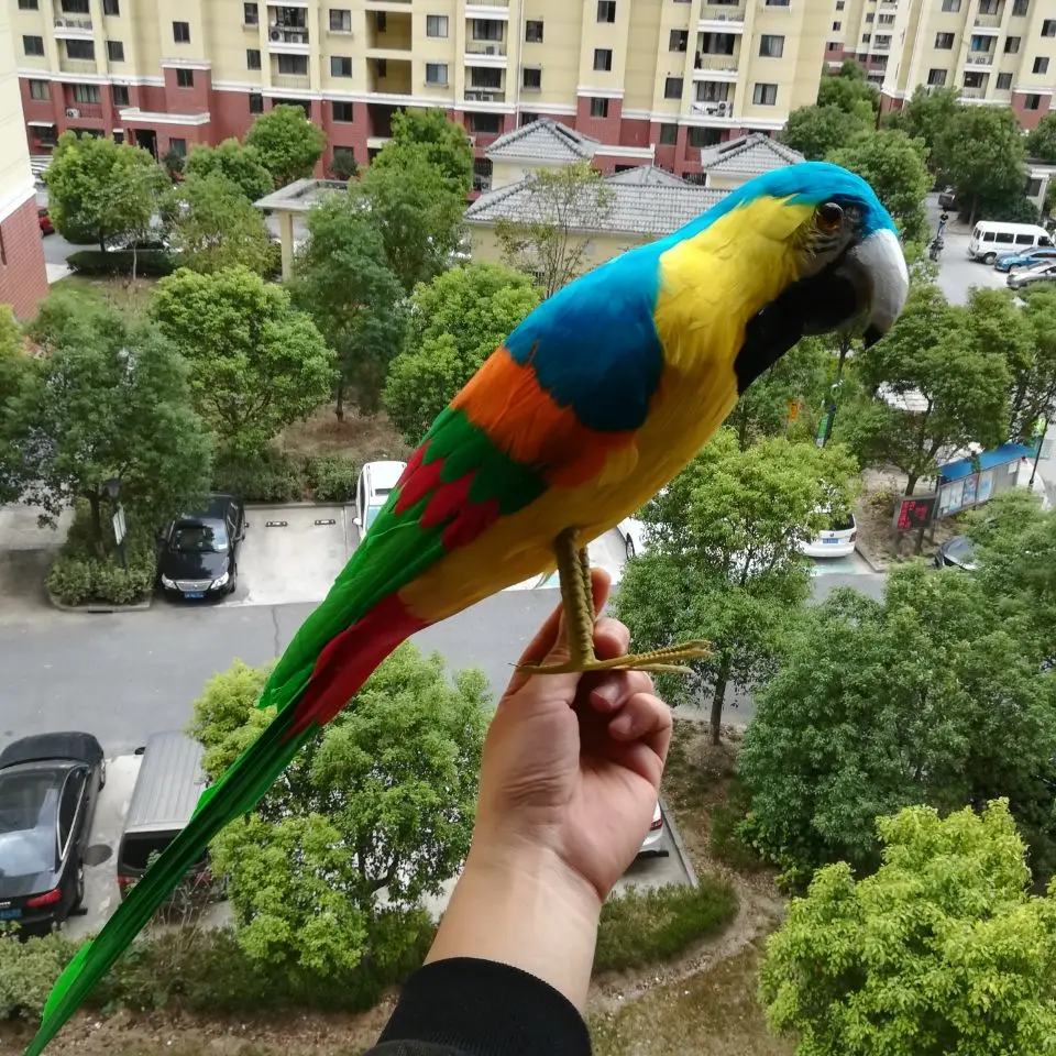 large 60cm simulation bird yellow- green parrot model,foam&feathers parrot handicraft,home garden decoration,Xmas gift b1801