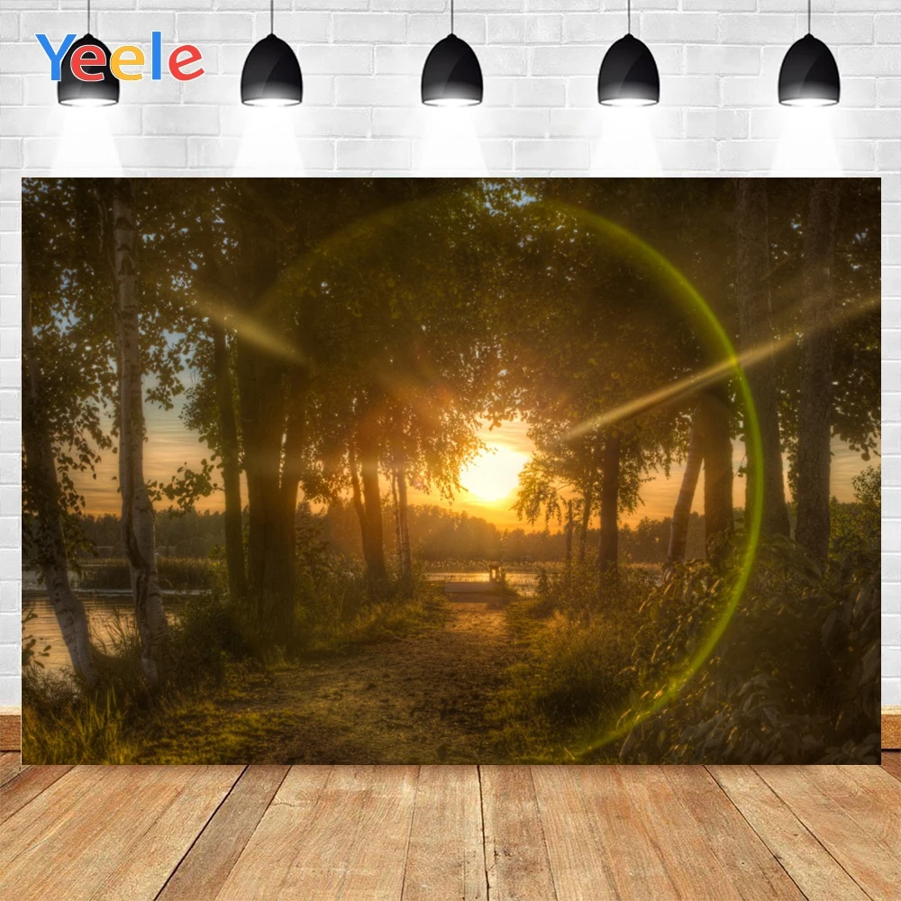 Yeele Sunset Forest Dusk Halo Countryside Road Landscape Background Photography Baby Photo Studio for Decoration Customized Size