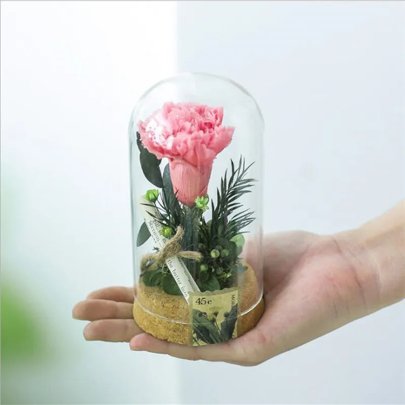 Free Shipping 2sets/pack 7*12cm Small Size Cork Base Glass Dome Home Decoration Dry Flower Bottle DIY Tube Cover