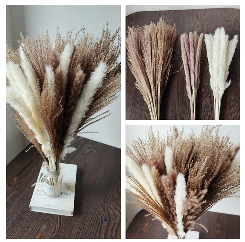 

45cm Reed Pampas Wheat Ears Rabbit Tail Grass Natural Dried Flowers Bouquet Wedding Decoration Hay for Party Bohemian Home