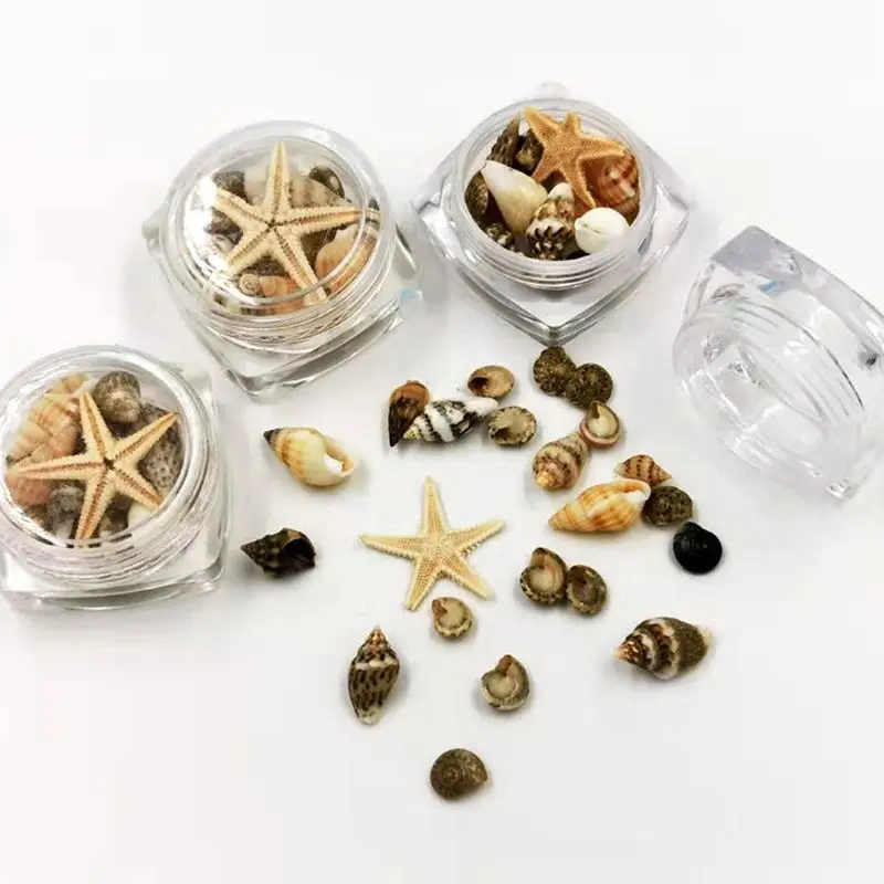 

Small Natural Beach Seashell Decor Jewelry Glass DIY Fillers Art Resin Fillings Jewelry Making