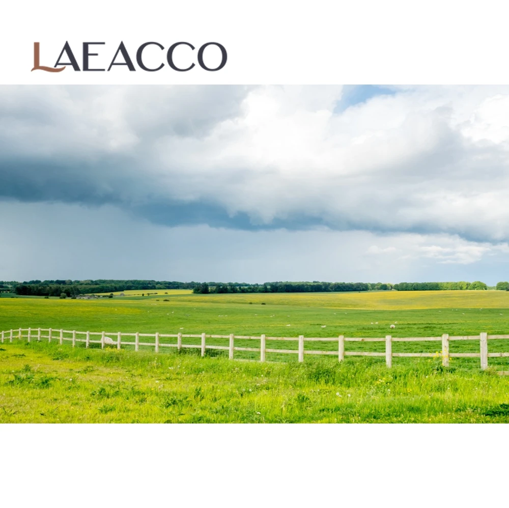 Laeacco Green Grass Lawn Blue Sky Cloudy Spring Natural Scenic Photography Backdrops Photo Backgrounds For Photo Studio