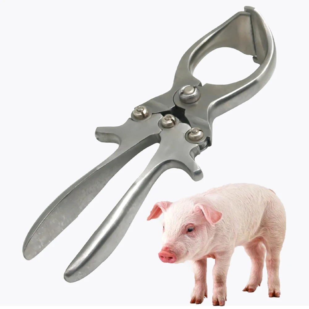 

1PCS Pig Castration Emasculate Plier Forceps Bloodless Boar Castrate Neuter Veterinary Equipment Farming Clamp Piglet Instrument