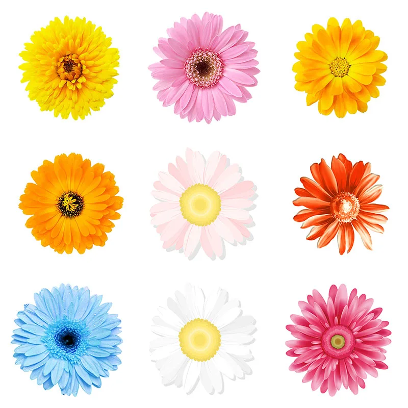 Three Ratels QCF55 Beautiful little Daisy Family decoration flower decoration refrigerator toilet Decal