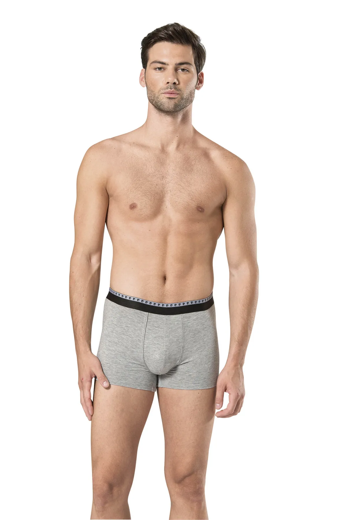 Pierre Cardin Men Black & Gray Stretch Boxer 6 PCs