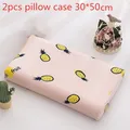 B Pillowcase 30x50cm
